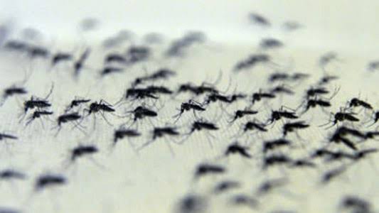 BRASIL REGISTRA 897 ÓBITOS POR DENGUE ENTRE 1º DE JANEIRO E 28 DE MARÇO